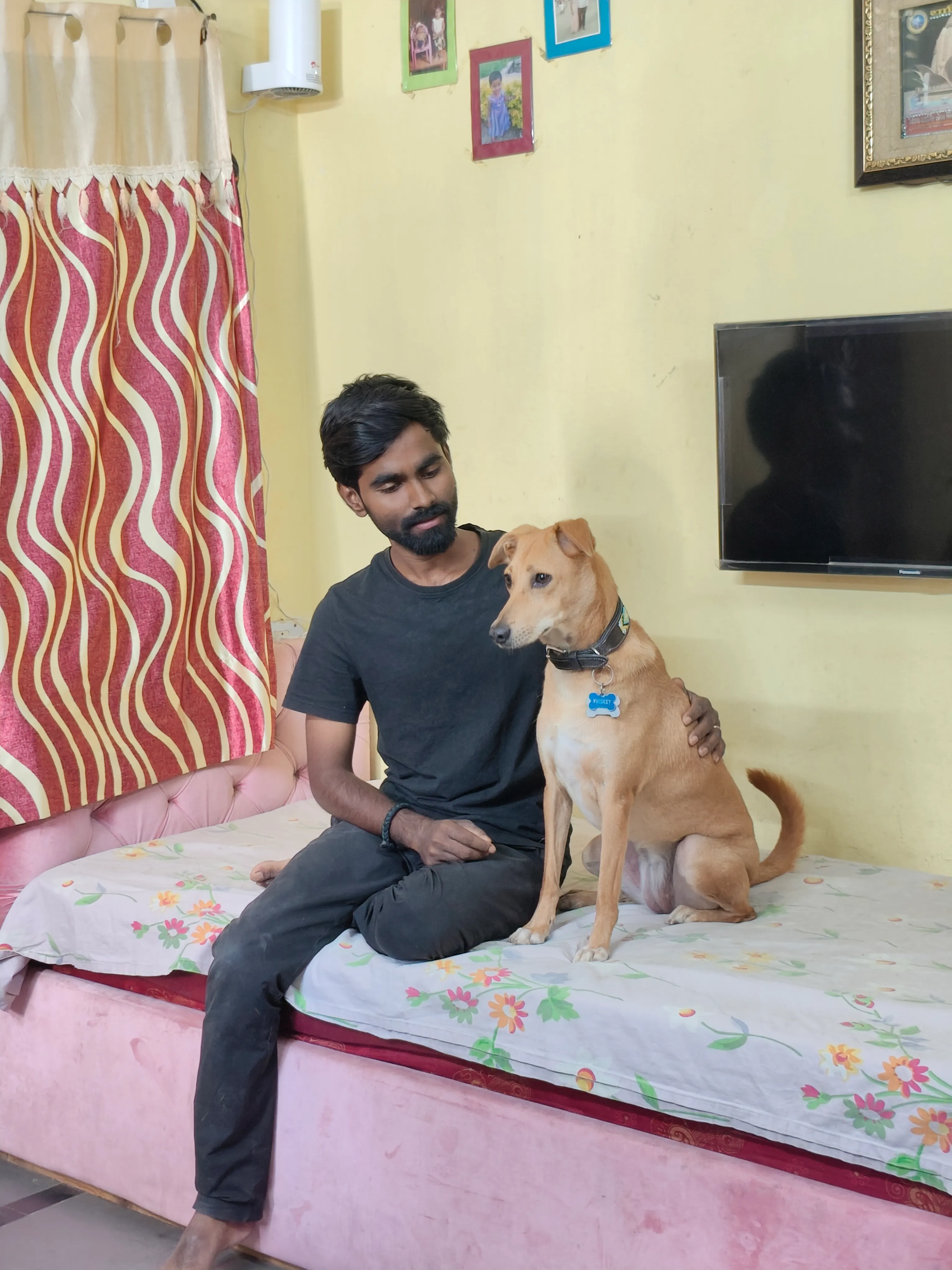Dog care service - image_003