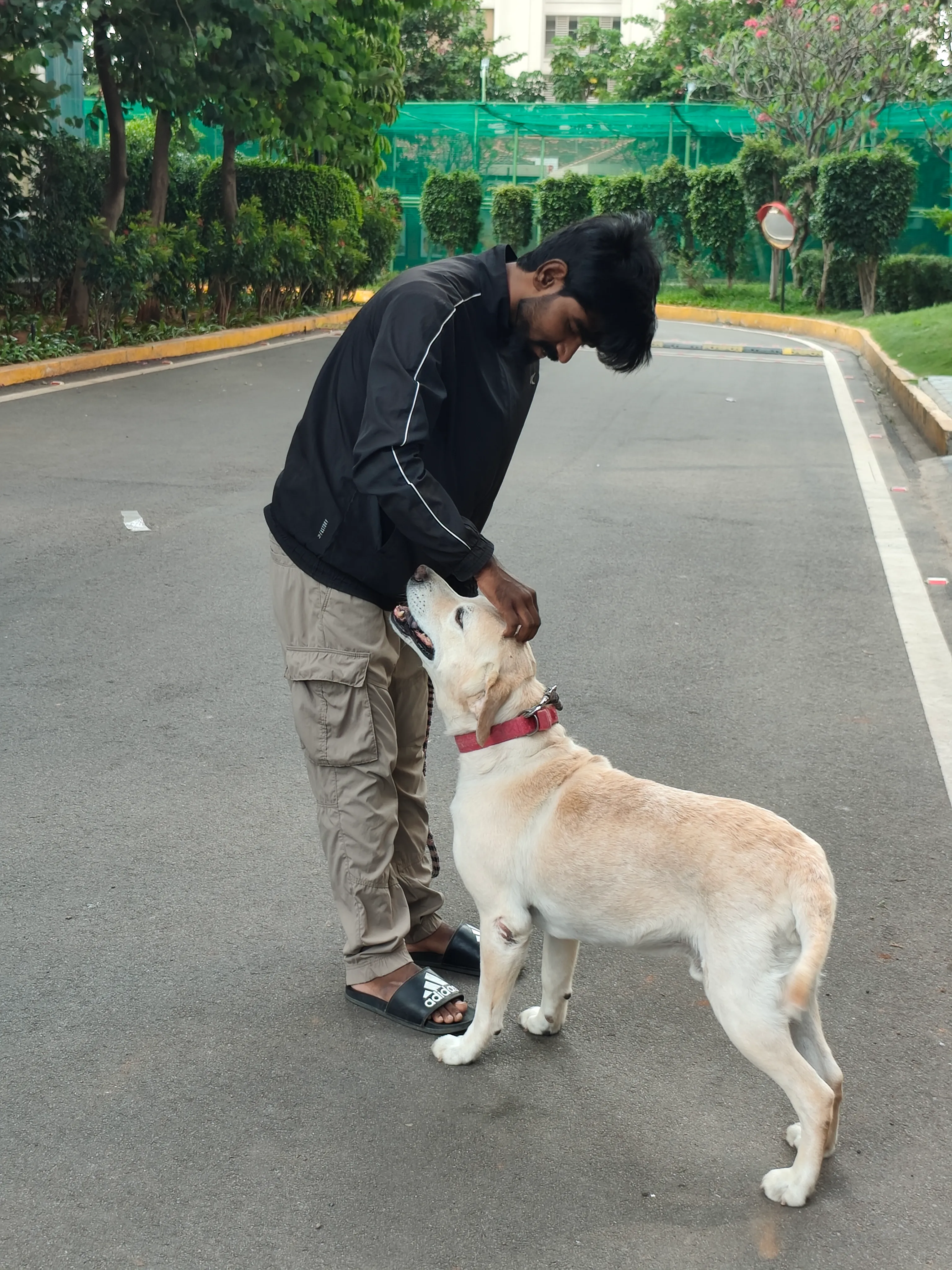 Dog care service - image_004