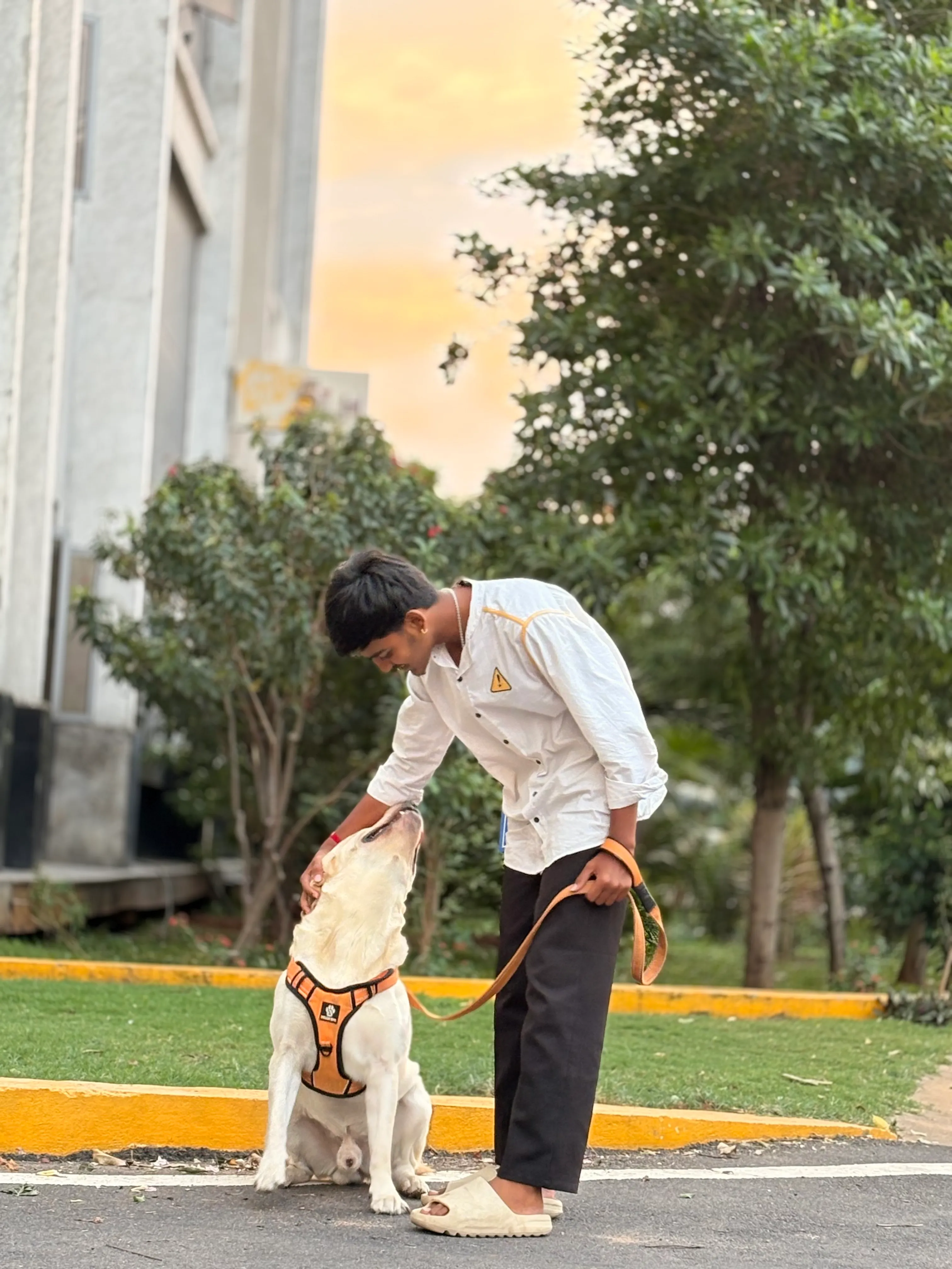 Dog care service - image_012
